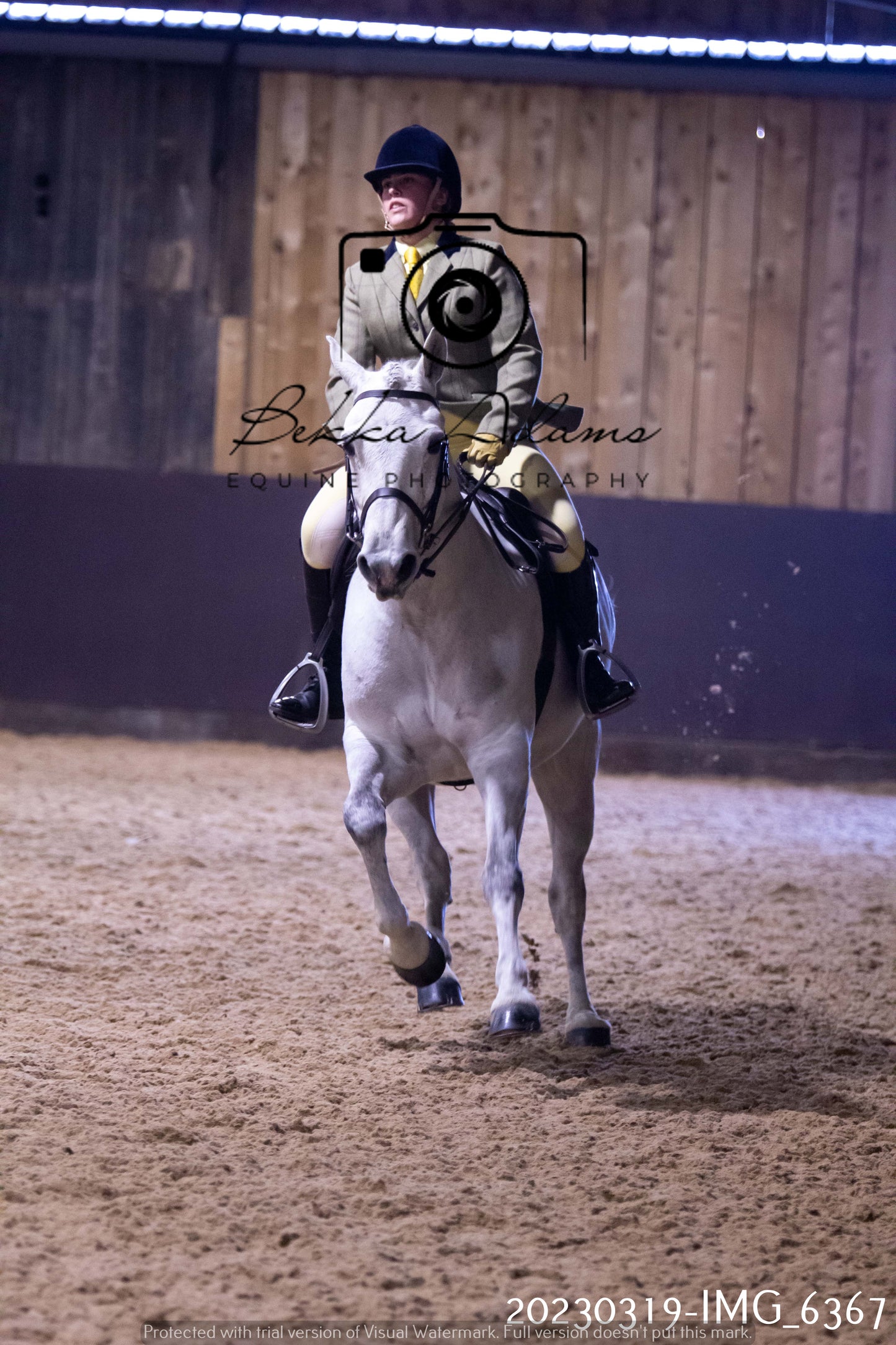 Home Farm Showing 19th March (Ridden) Pt 2
