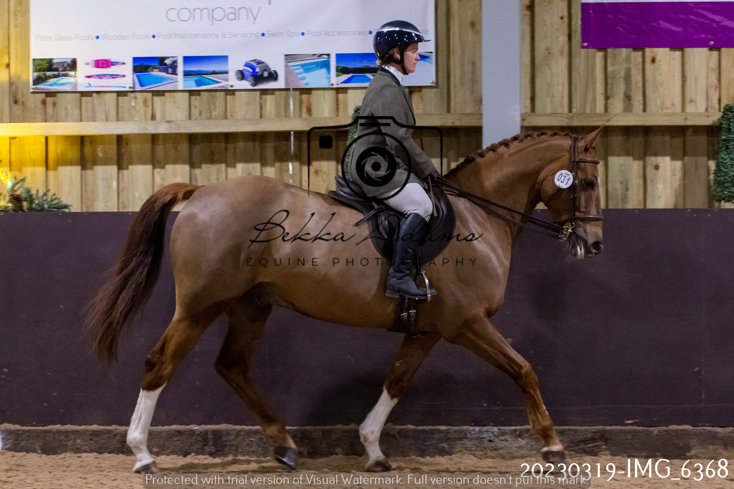 Home Farm Showing 19th March (Ridden) Pt 2
