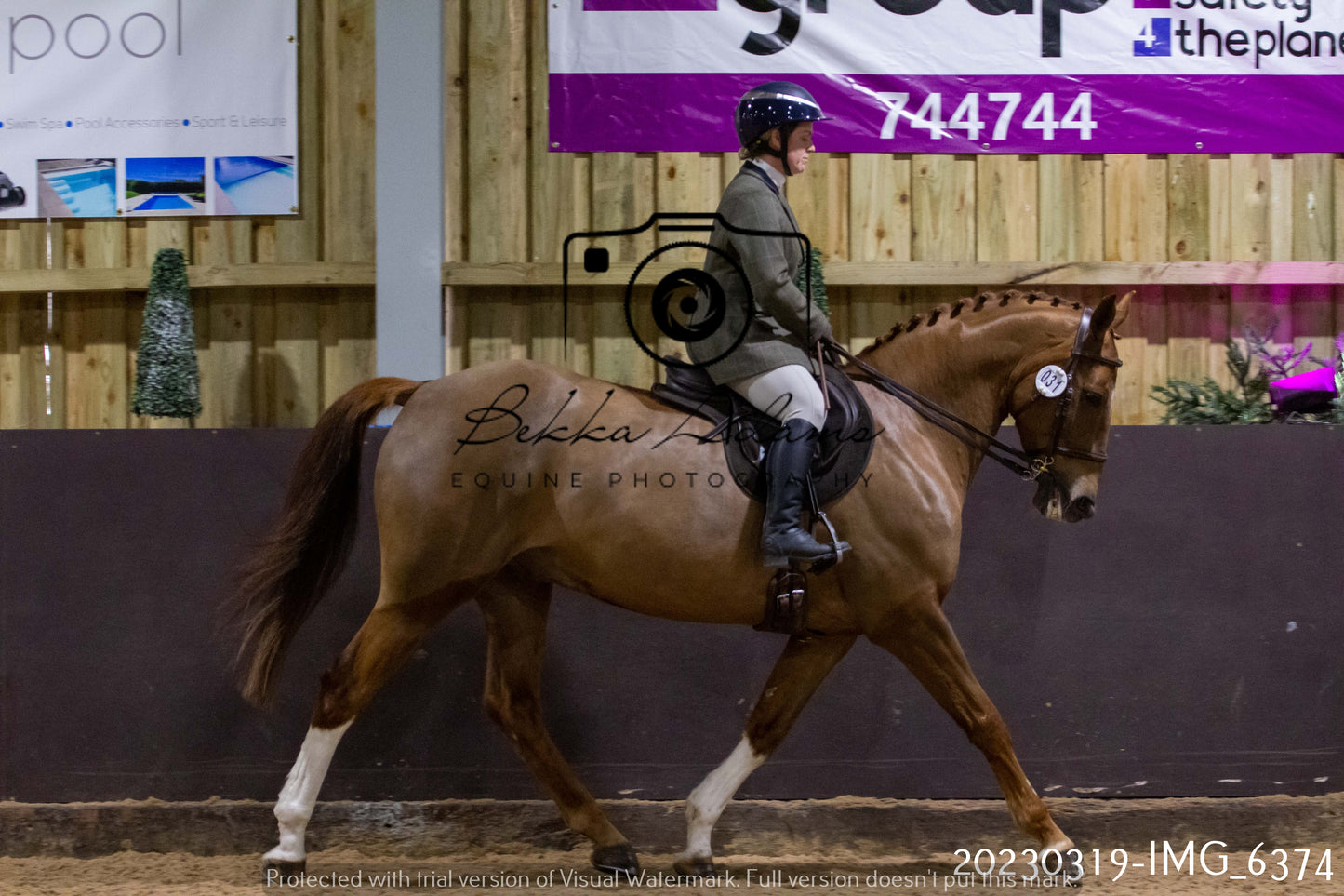 Home Farm Showing 19th March (Ridden) Pt 2