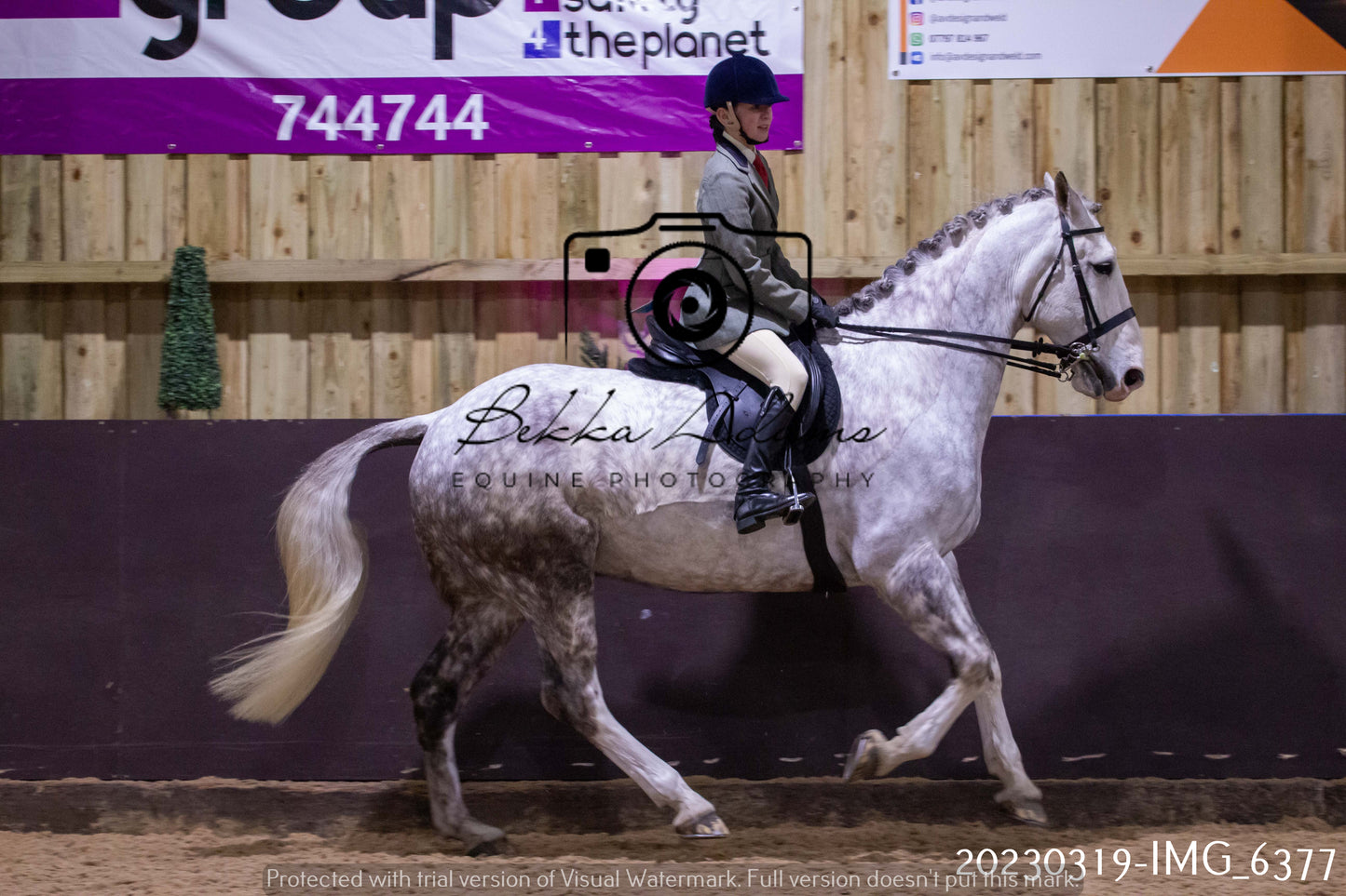 Home Farm Showing 19th March (Ridden) Pt 2