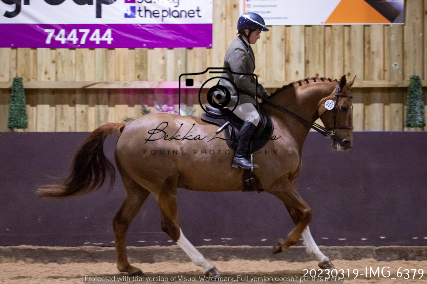 Home Farm Showing 19th March (Ridden) Pt 2