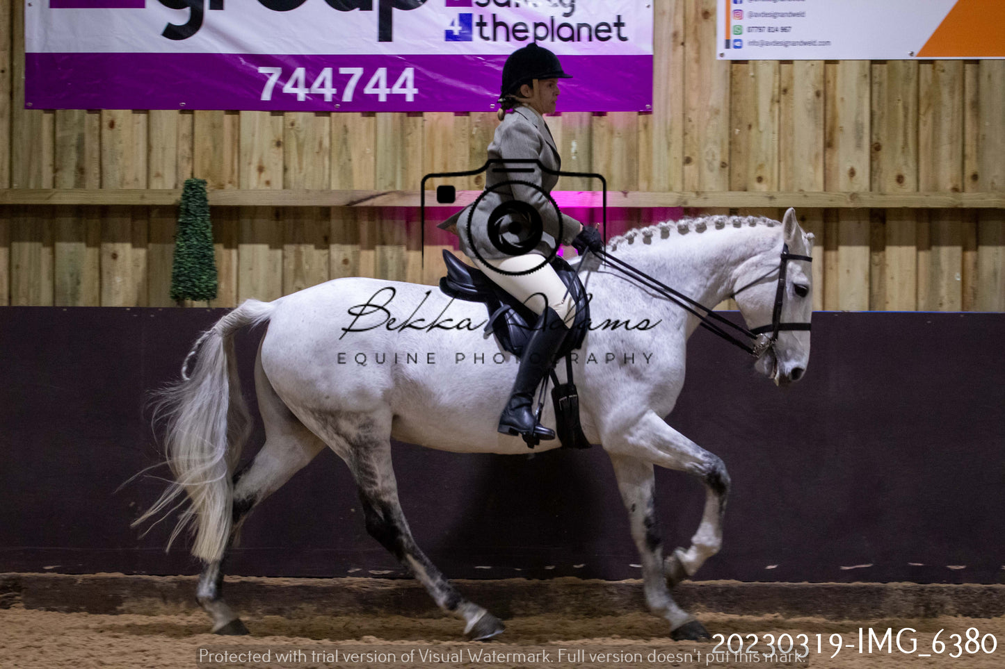 Home Farm Showing 19th March (Ridden) Pt 2