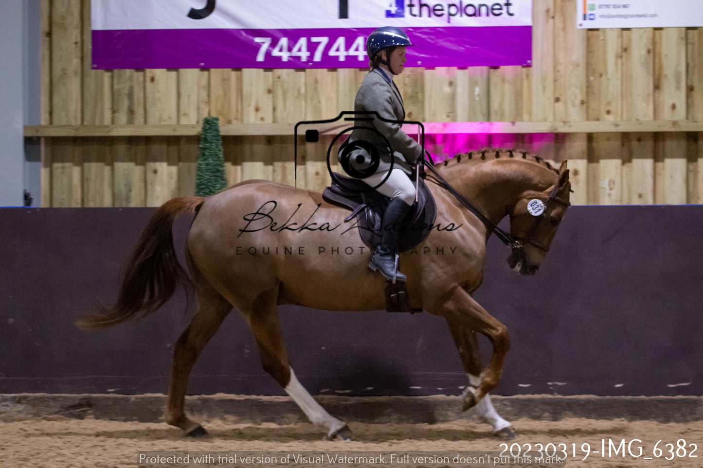Home Farm Showing 19th March (Ridden) Pt 2