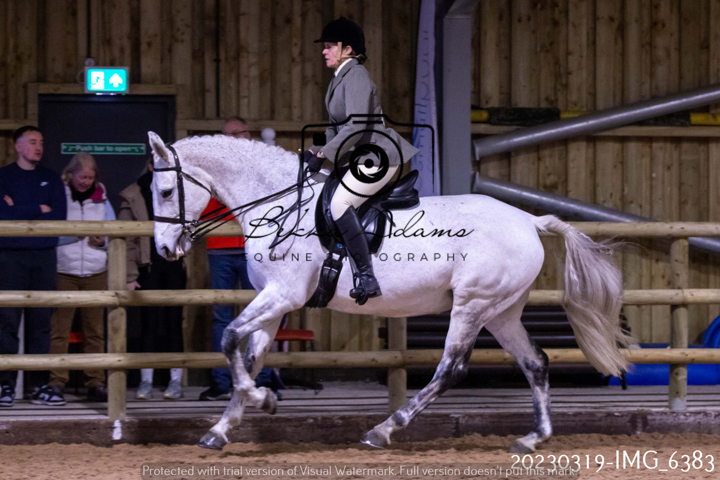Home Farm Showing 19th March (Ridden) Pt 2