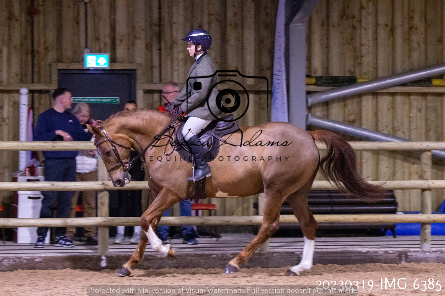 Home Farm Showing 19th March (Ridden) Pt 2
