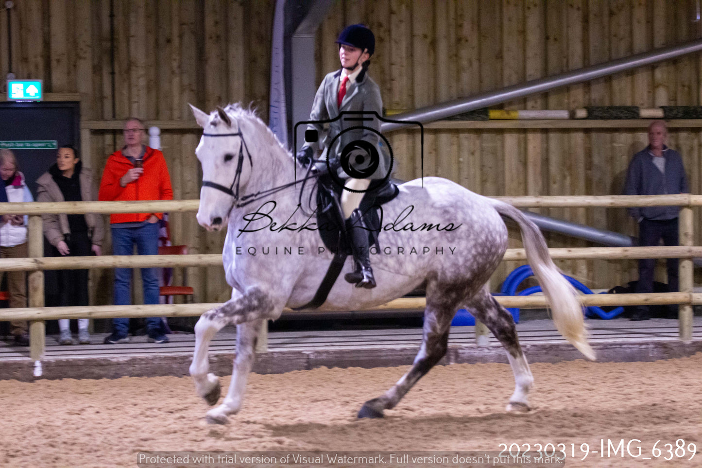 Home Farm Showing 19th March (Ridden) Pt 2