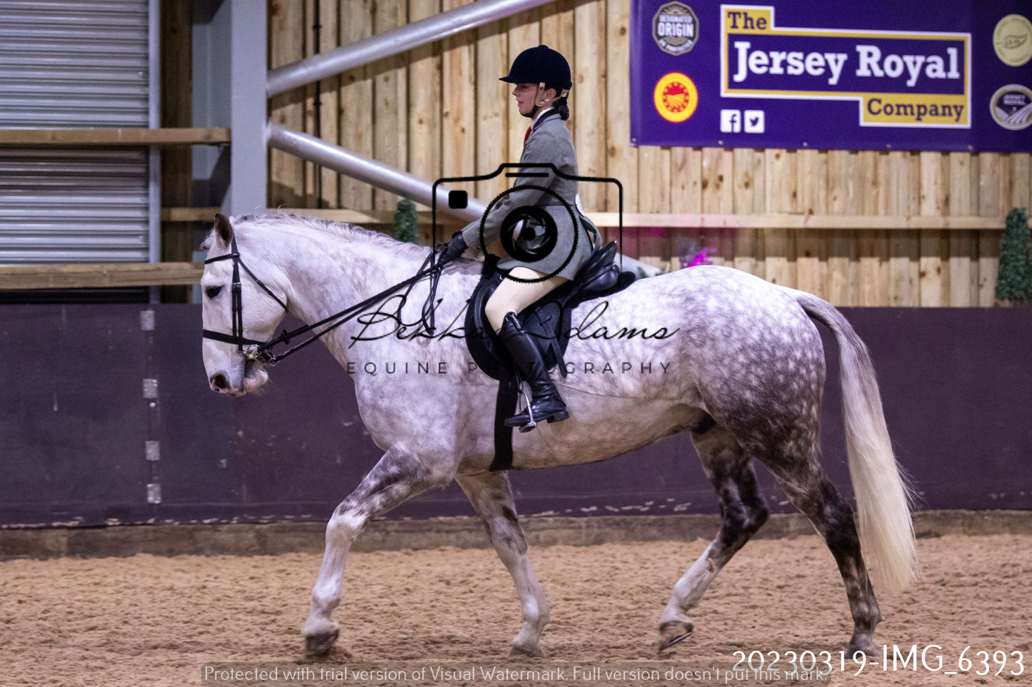 Home Farm Showing 19th March (Ridden) Pt 2