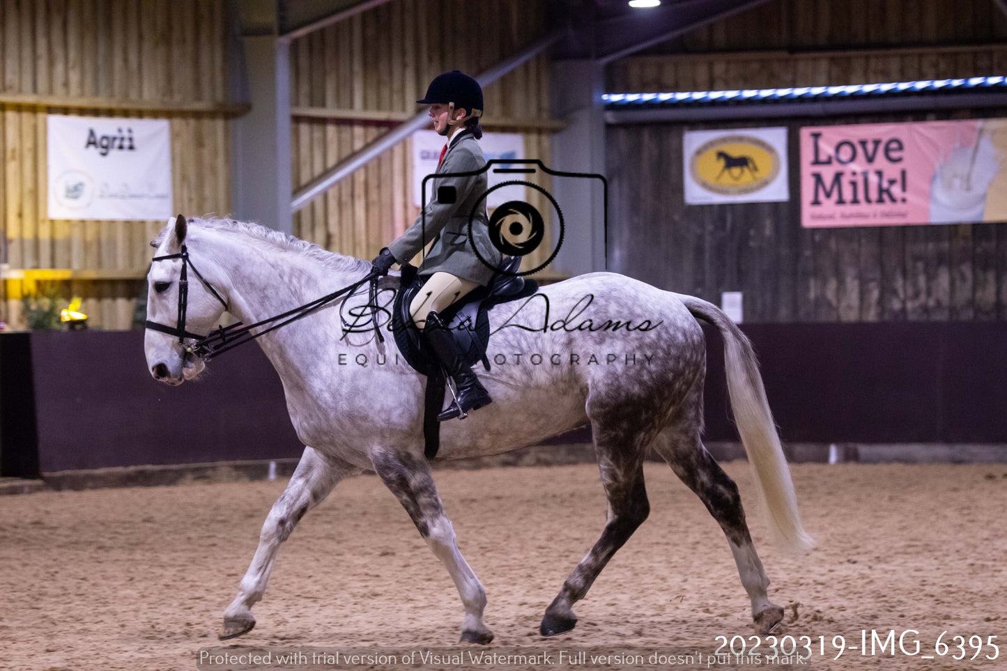 Home Farm Showing 19th March (Ridden) Pt 2