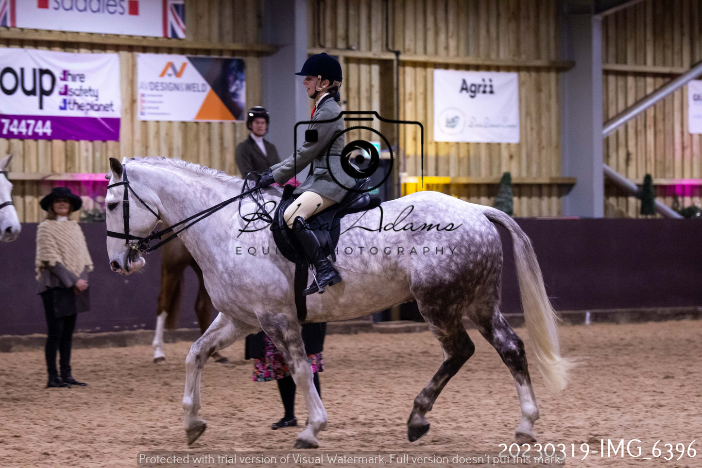 Home Farm Showing 19th March (Ridden) Pt 2