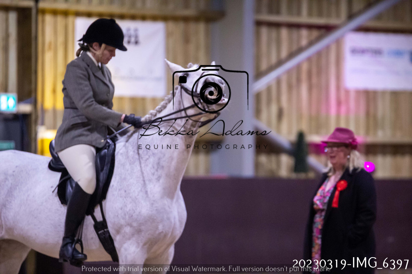 Home Farm Showing 19th March (Ridden) Pt 2