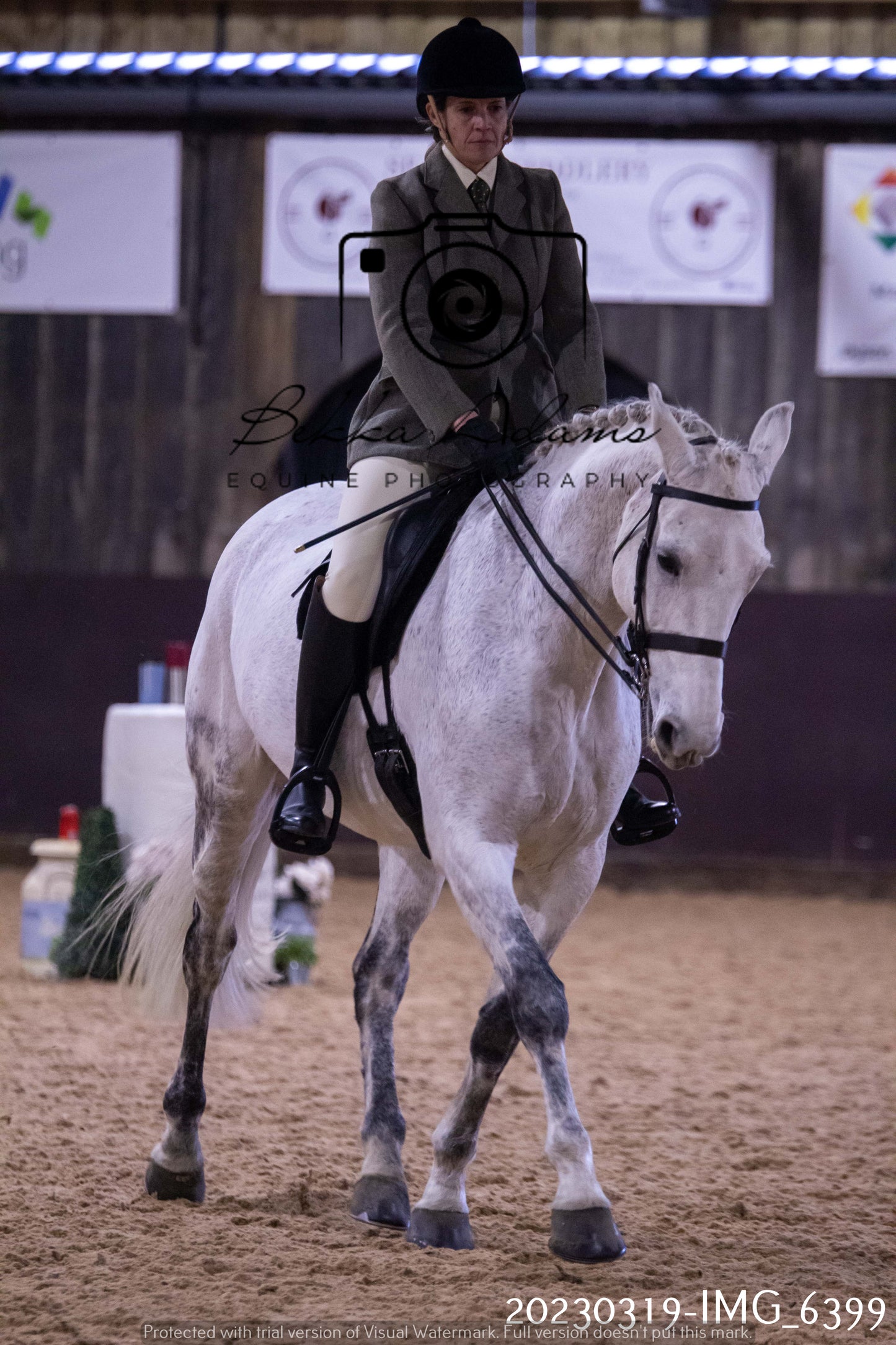 Home Farm Showing 19th March (Ridden) Pt 2