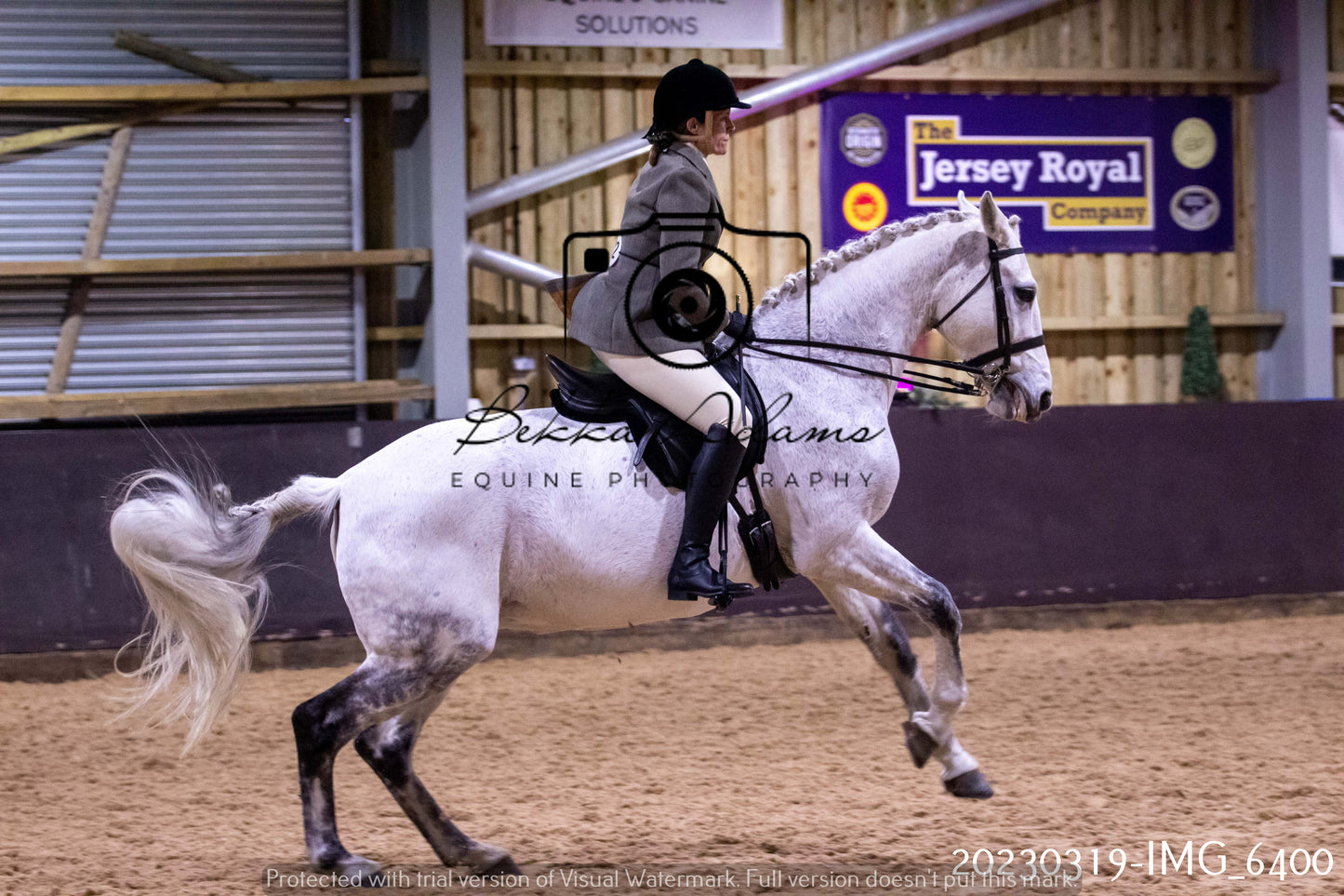 Home Farm Showing 19th March (Ridden) Pt 2