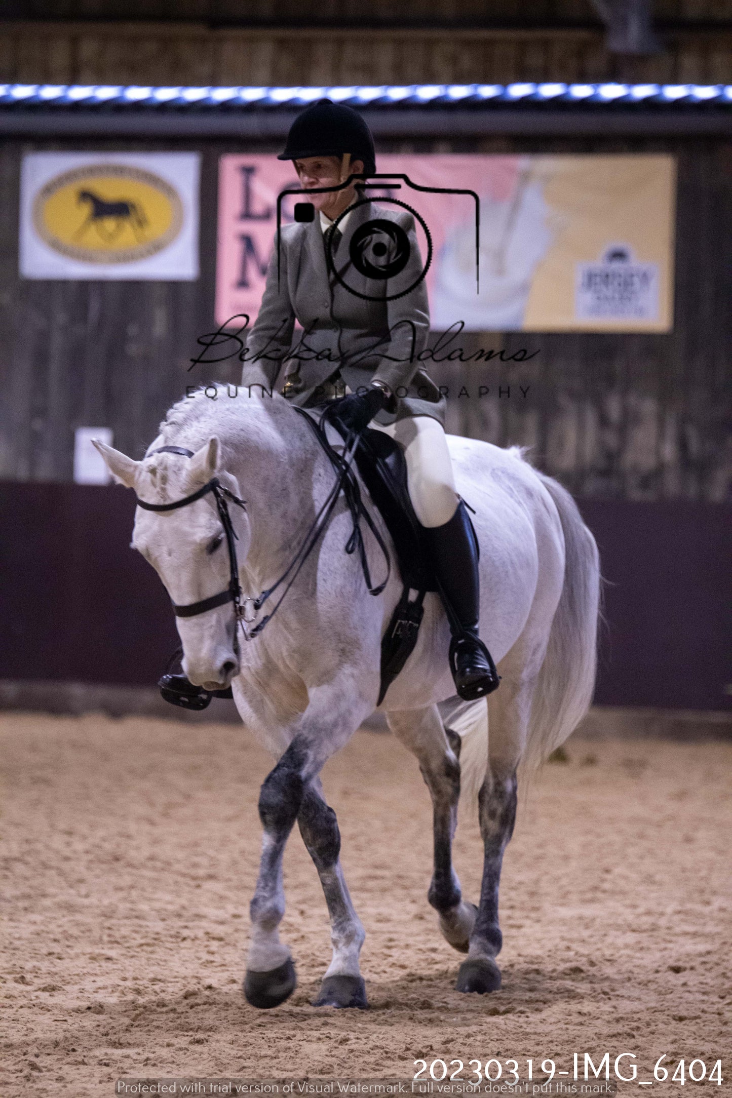 Home Farm Showing 19th March (Ridden) Pt 2