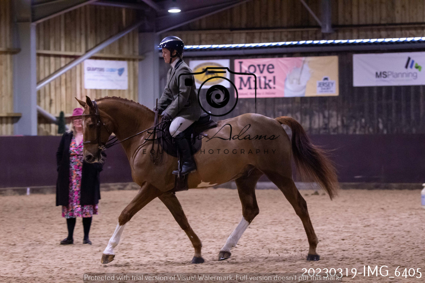 Home Farm Showing 19th March (Ridden) Pt 2