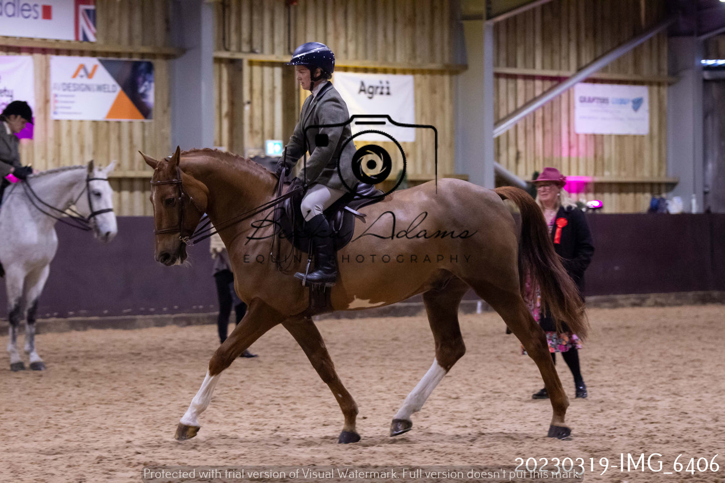 Home Farm Showing 19th March (Ridden) Pt 2