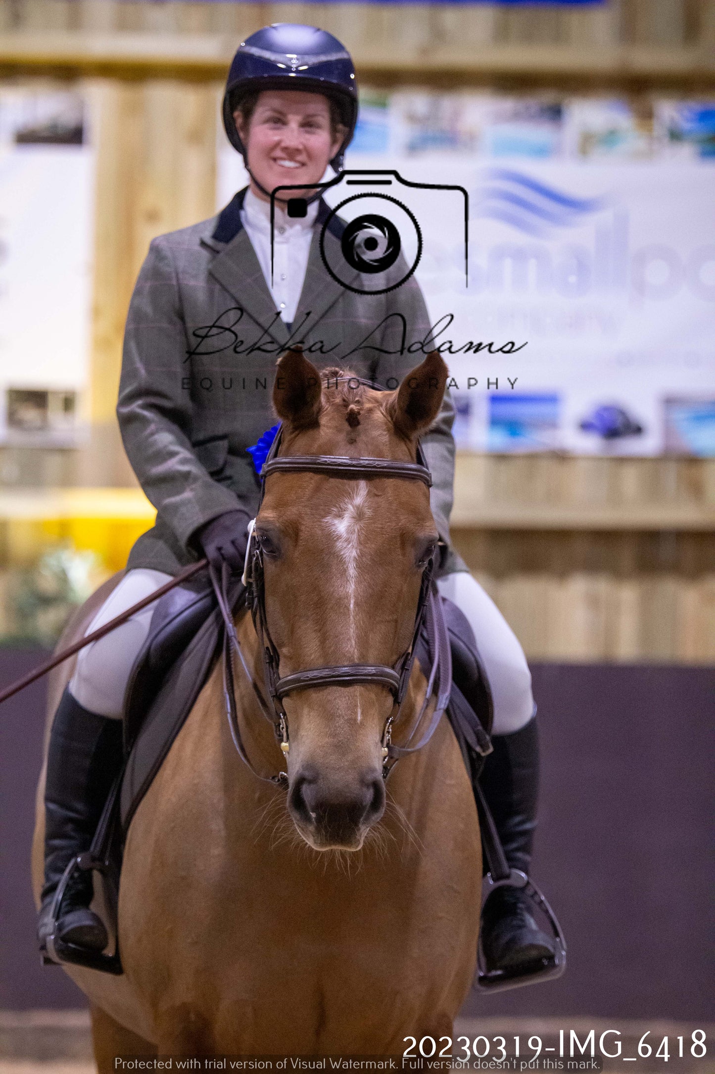 Home Farm Showing 19th March (Ridden) Pt 2