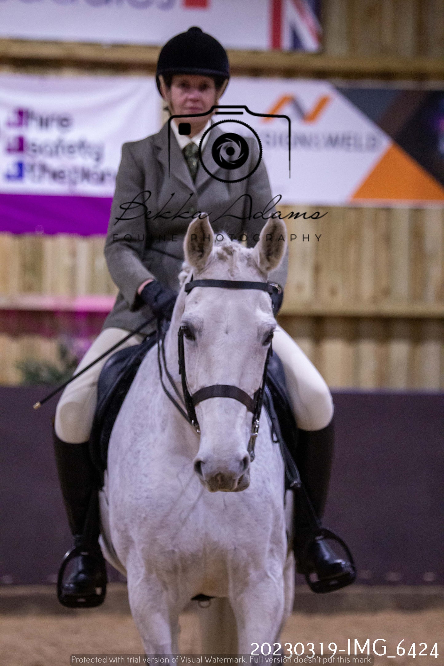 Home Farm Showing 19th March (Ridden) Pt 2