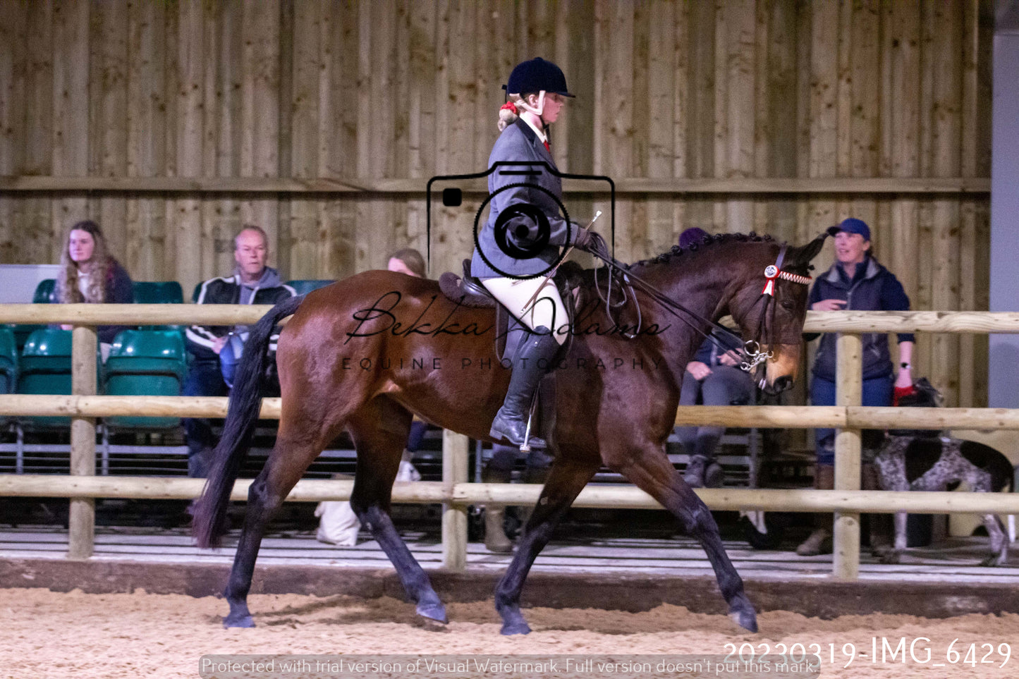 Home Farm Showing 19th March (Ridden) Pt 2