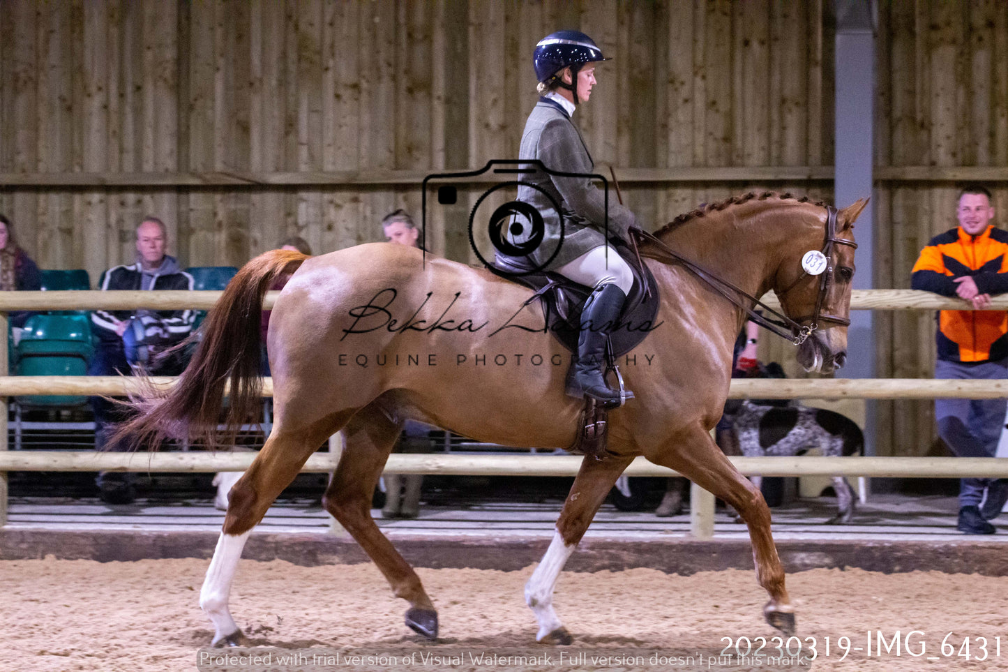 Home Farm Showing 19th March (Ridden) Pt 2