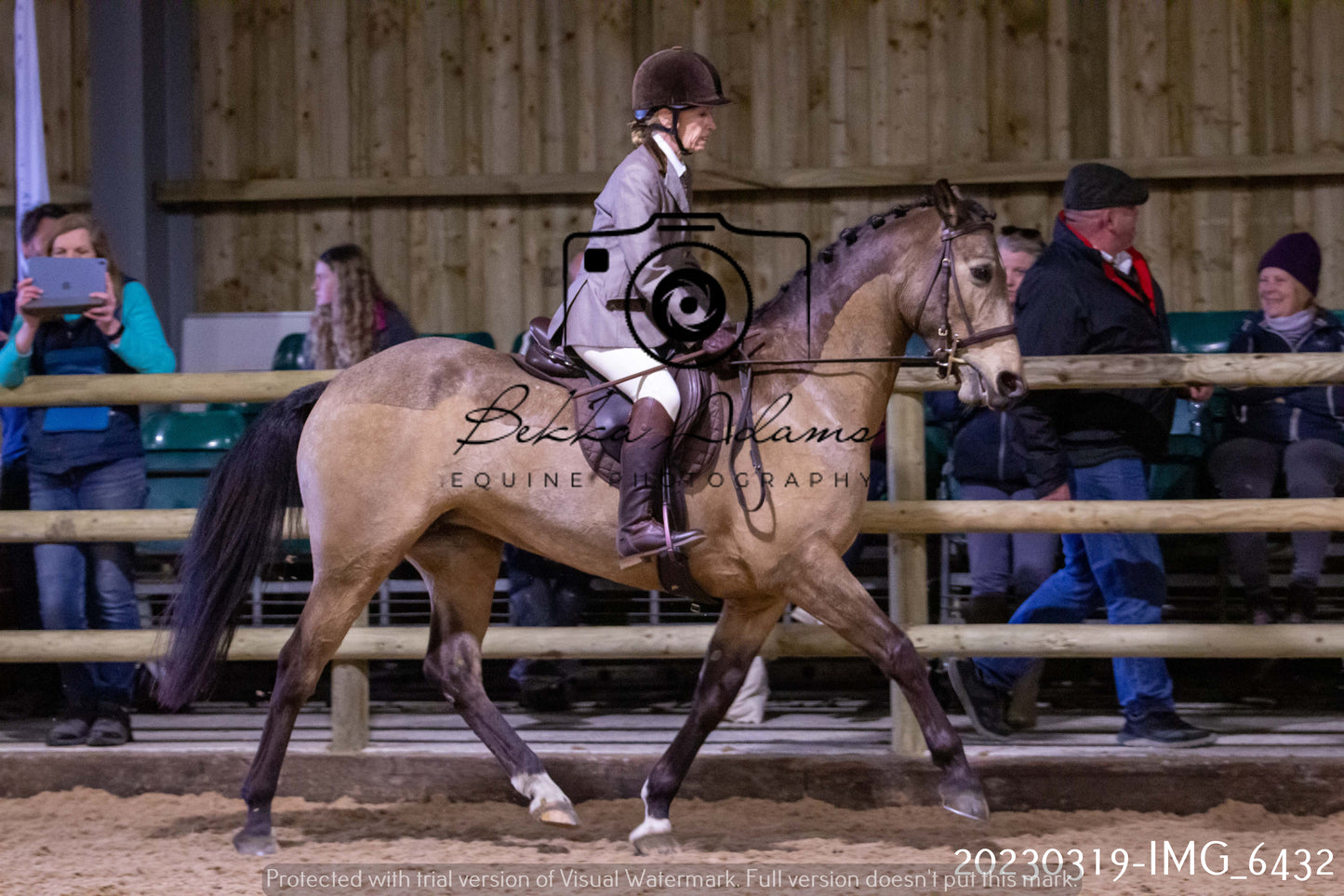 Home Farm Showing 19th March (Ridden) Pt 2