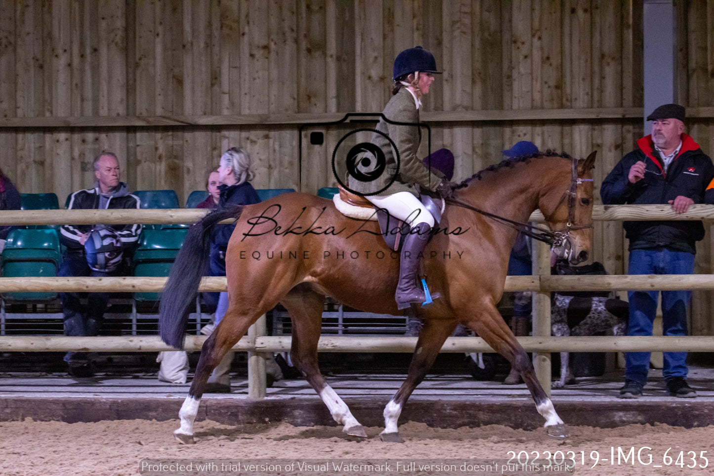 Home Farm Showing 19th March (Ridden) Pt 2