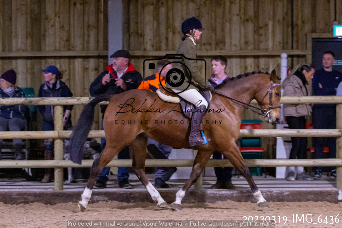 Home Farm Showing 19th March (Ridden) Pt 2