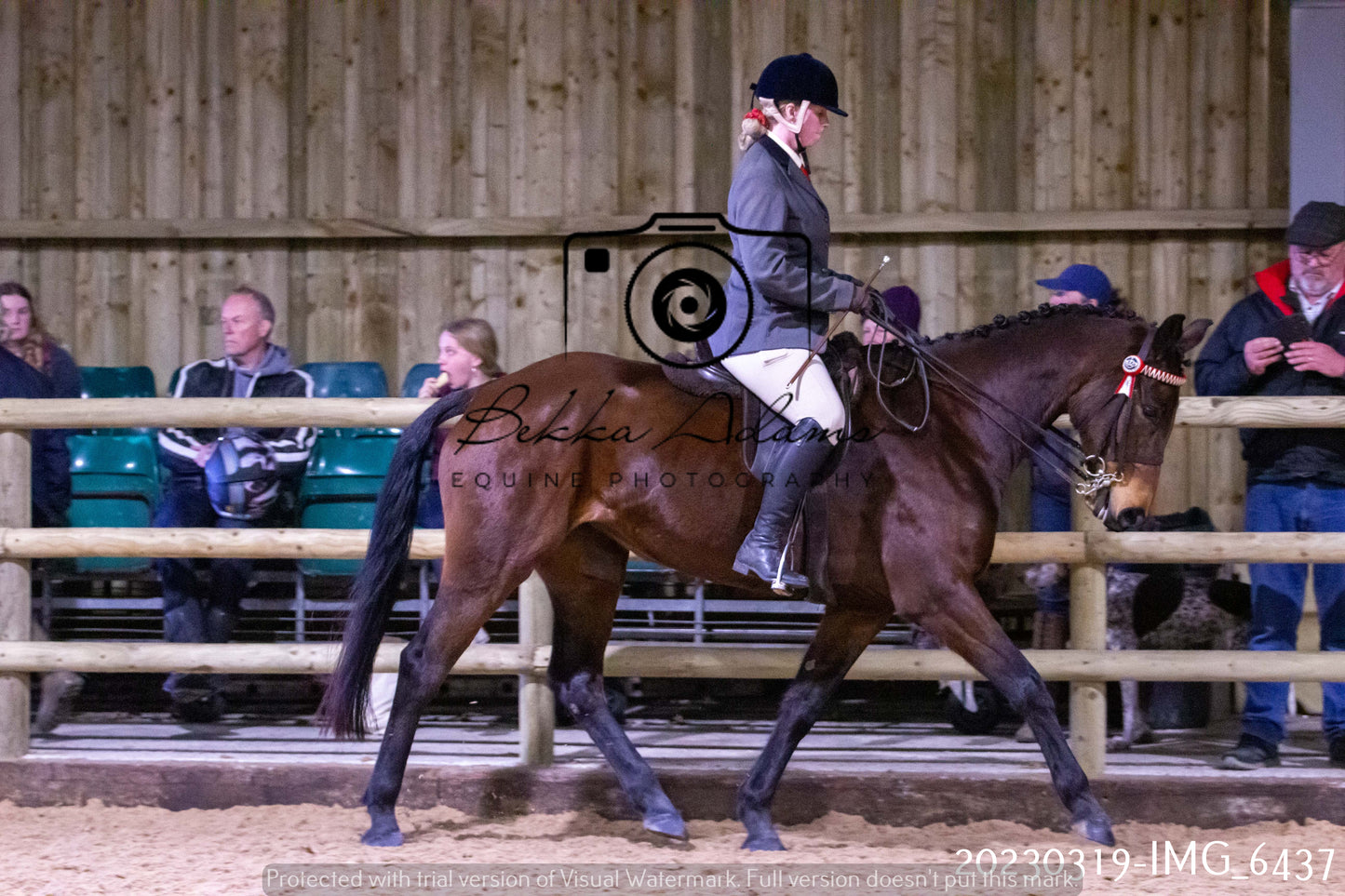 Home Farm Showing 19th March (Ridden) Pt 2