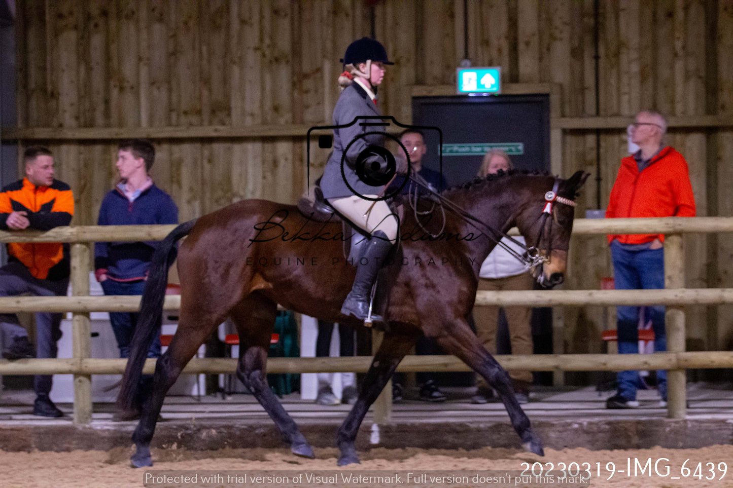 Home Farm Showing 19th March (Ridden) Pt 2