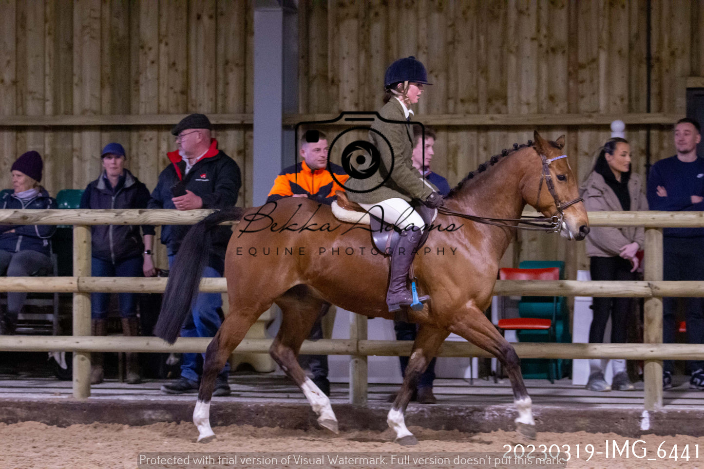 Home Farm Showing 19th March (Ridden) Pt 2