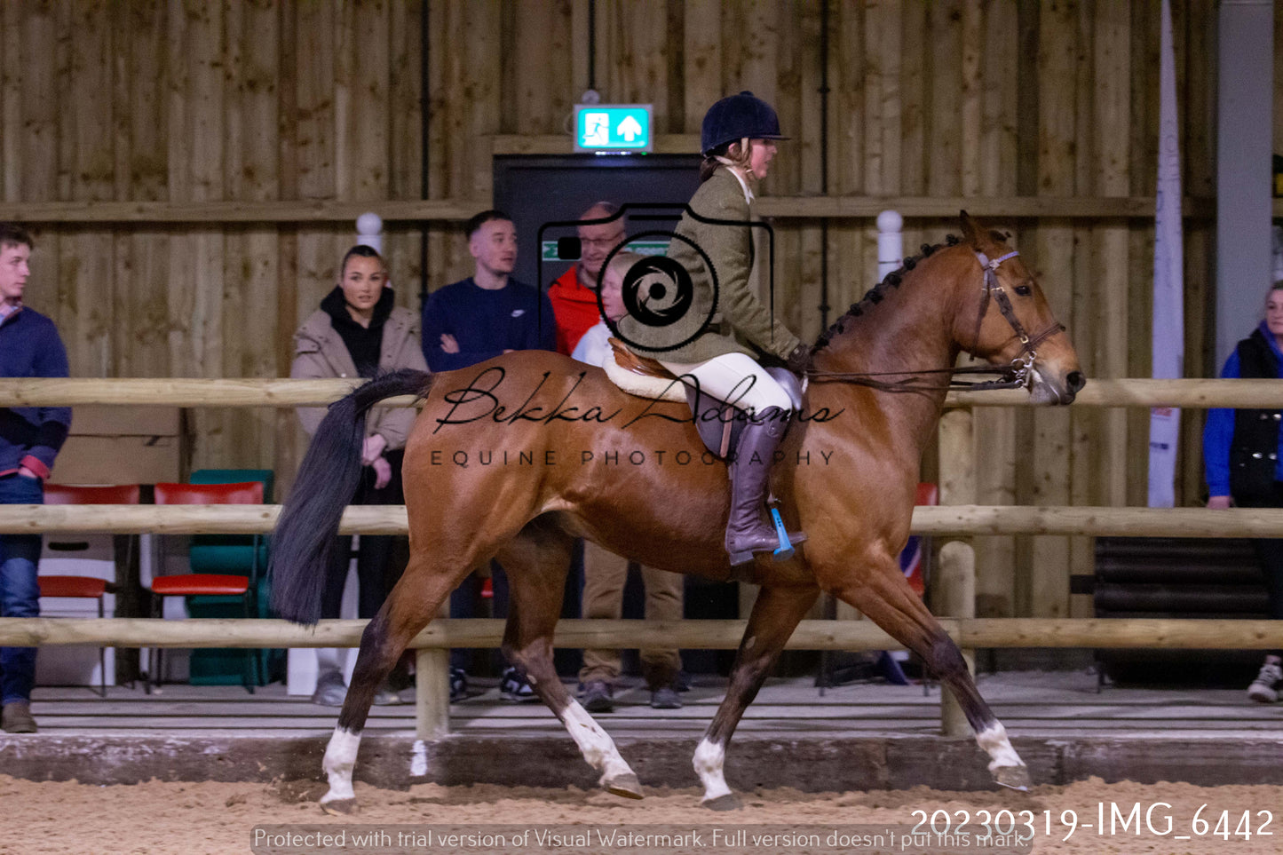 Home Farm Showing 19th March (Ridden) Pt 2