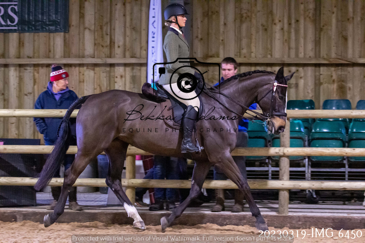 Home Farm Showing 19th March (Ridden) Pt 2