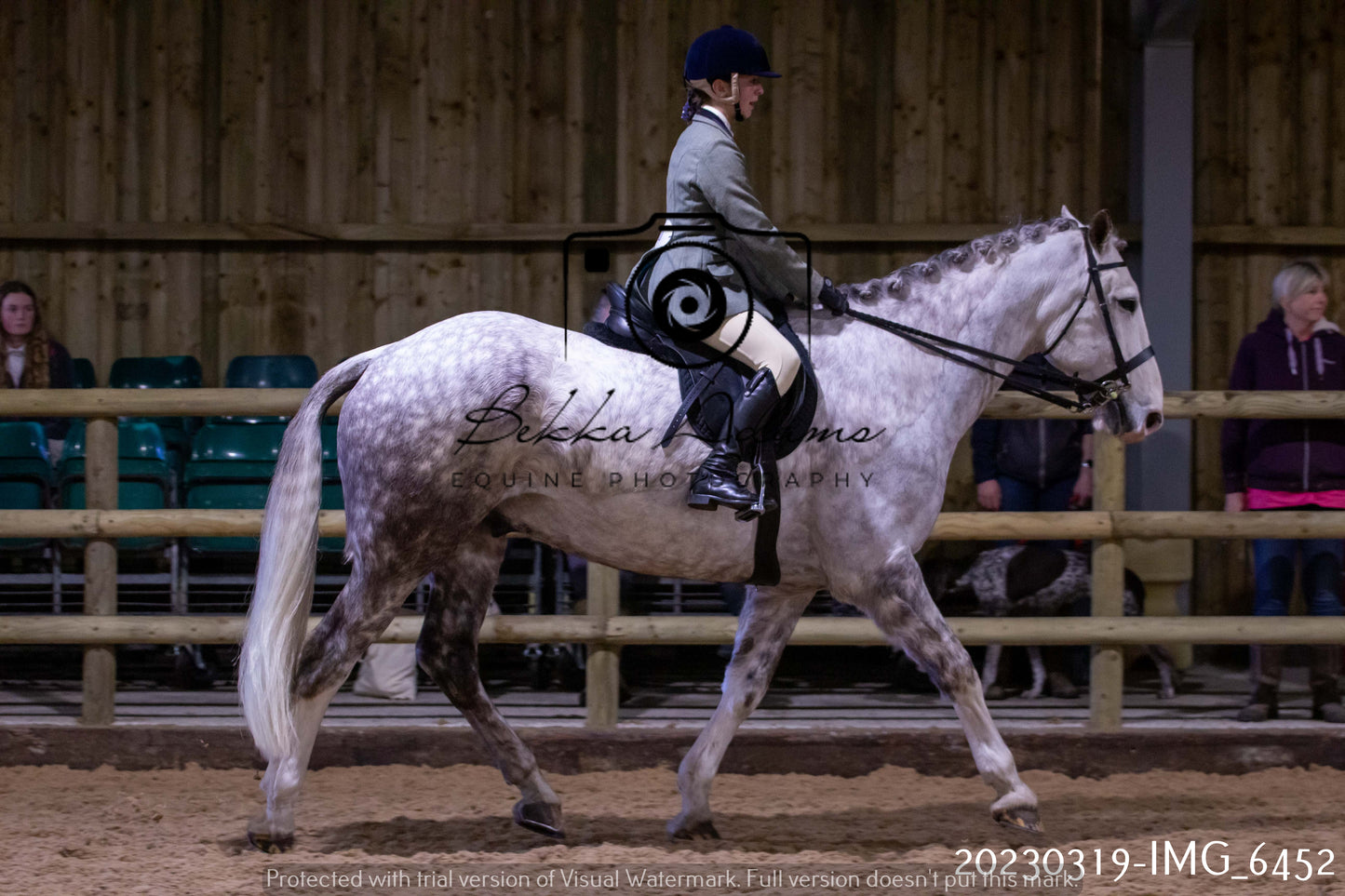 Home Farm Showing 19th March (Ridden) Pt 2