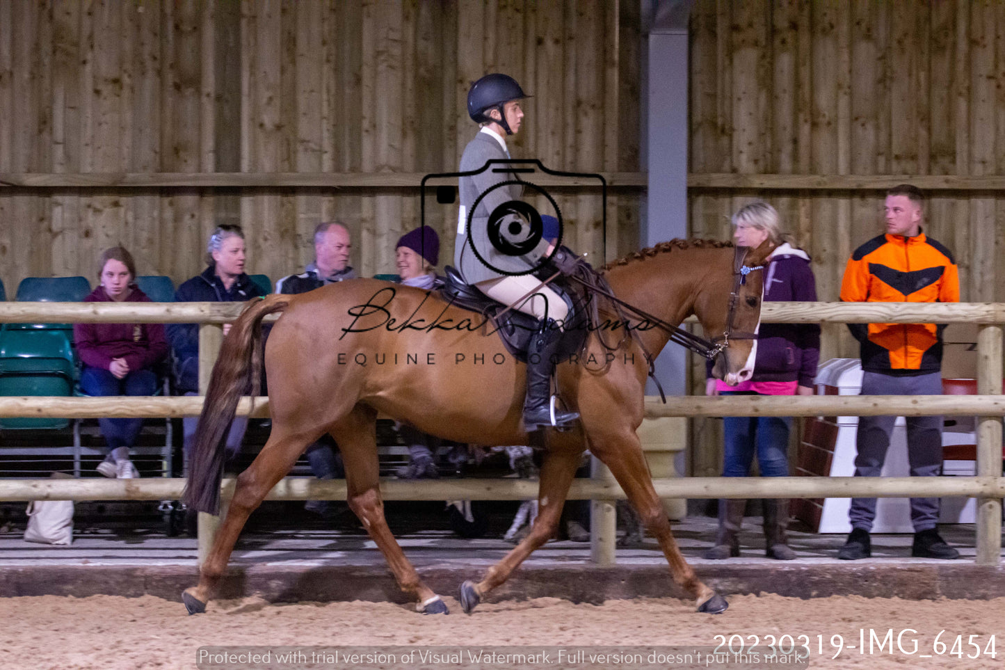 Home Farm Showing 19th March (Ridden) Pt 2