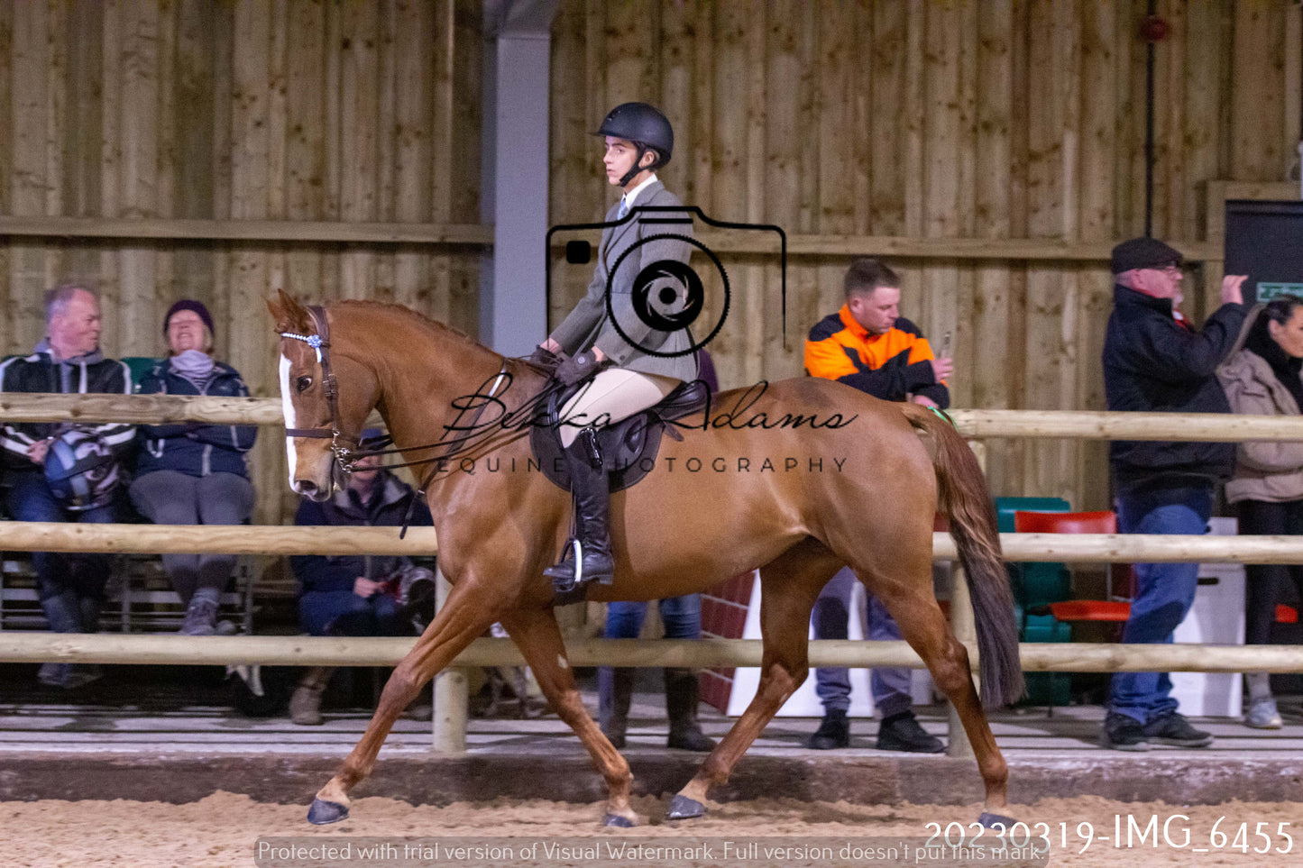 Home Farm Showing 19th March (Ridden) Pt 2