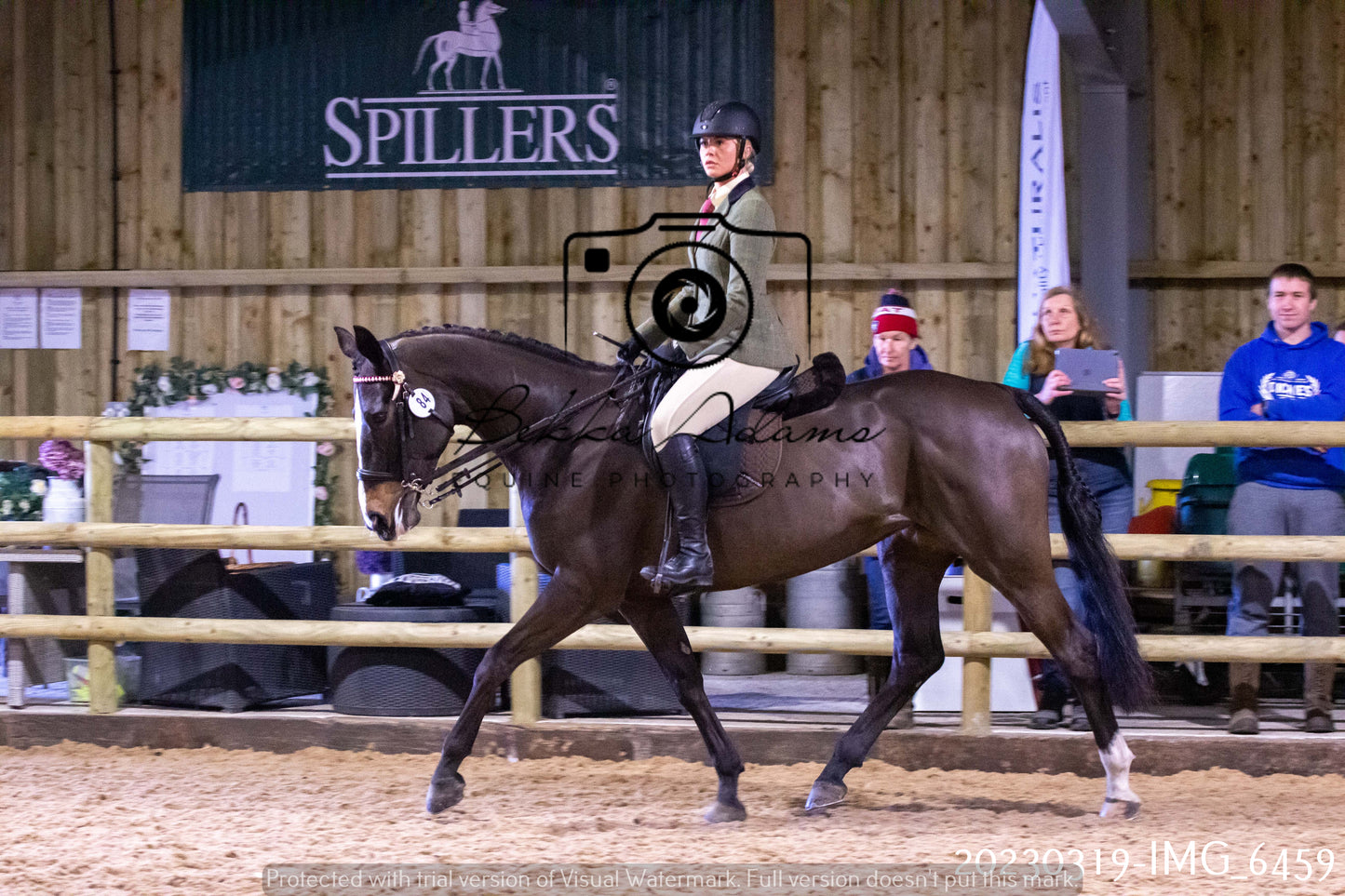 Home Farm Showing 19th March (Ridden) Pt 2