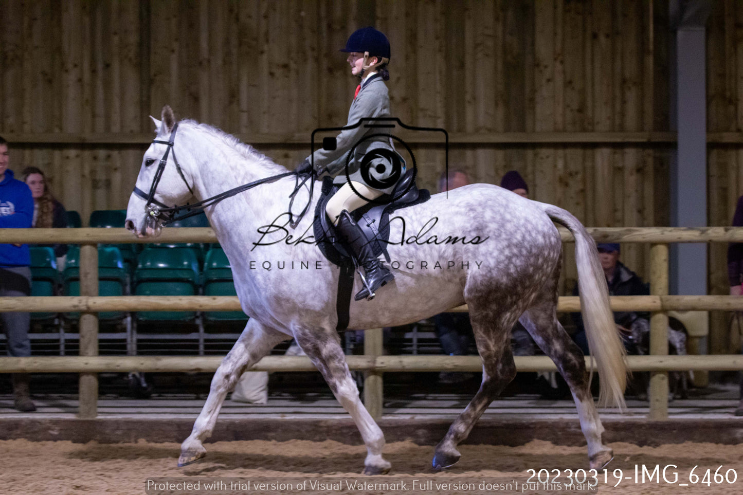 Home Farm Showing 19th March (Ridden) Pt 2