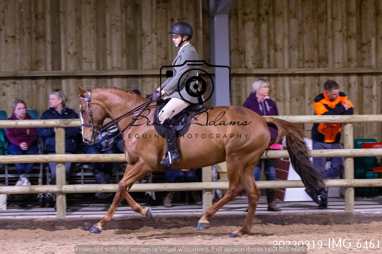 Home Farm Showing 19th March (Ridden) Pt 2