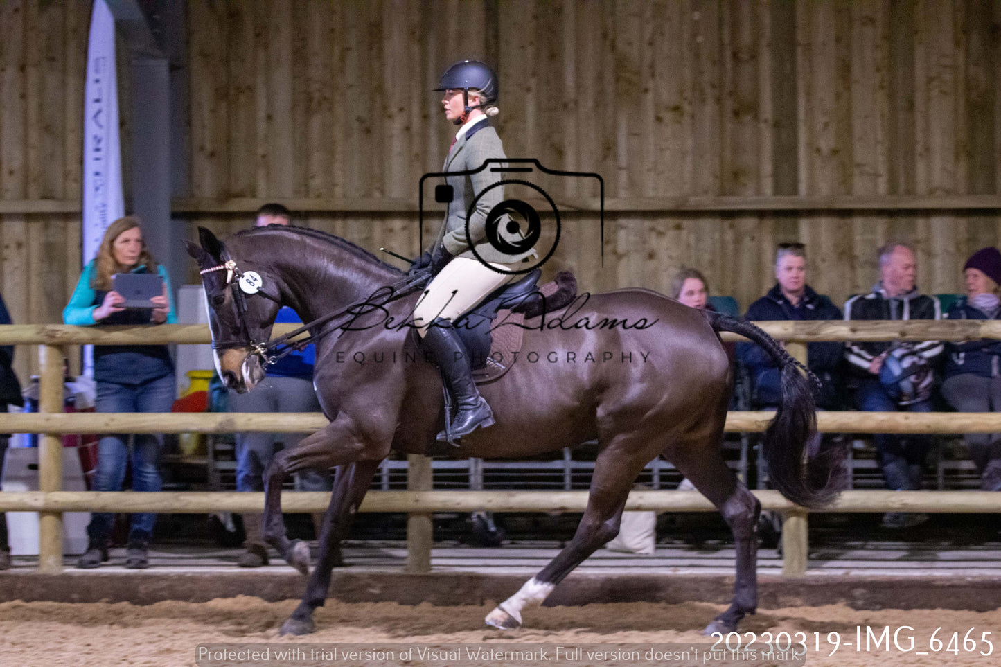 Home Farm Showing 19th March (Ridden) Pt 2