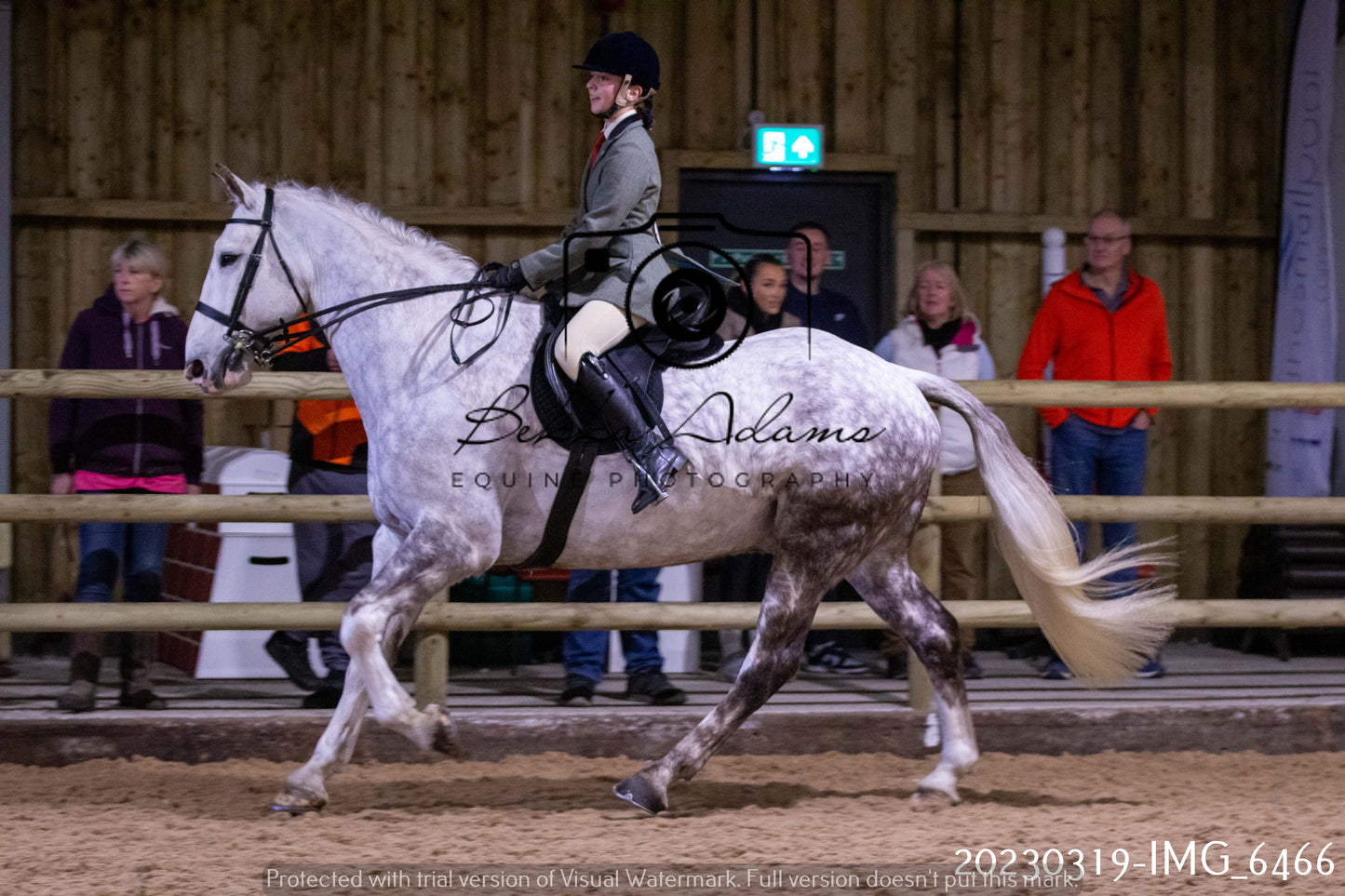 Home Farm Showing 19th March (Ridden) Pt 2