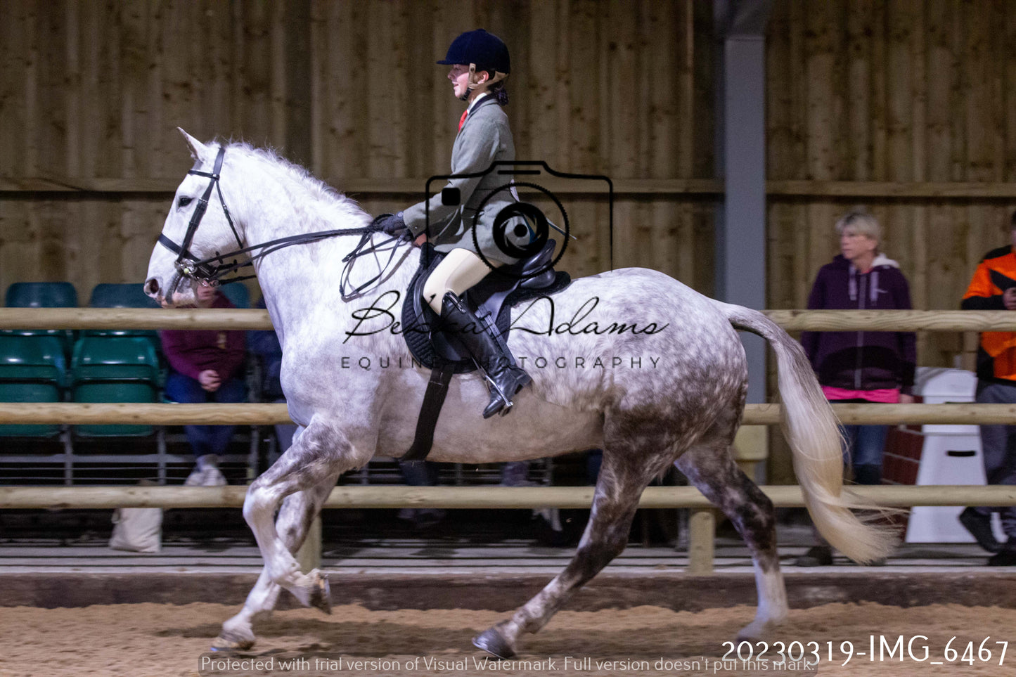 Home Farm Showing 19th March (Ridden) Pt 2