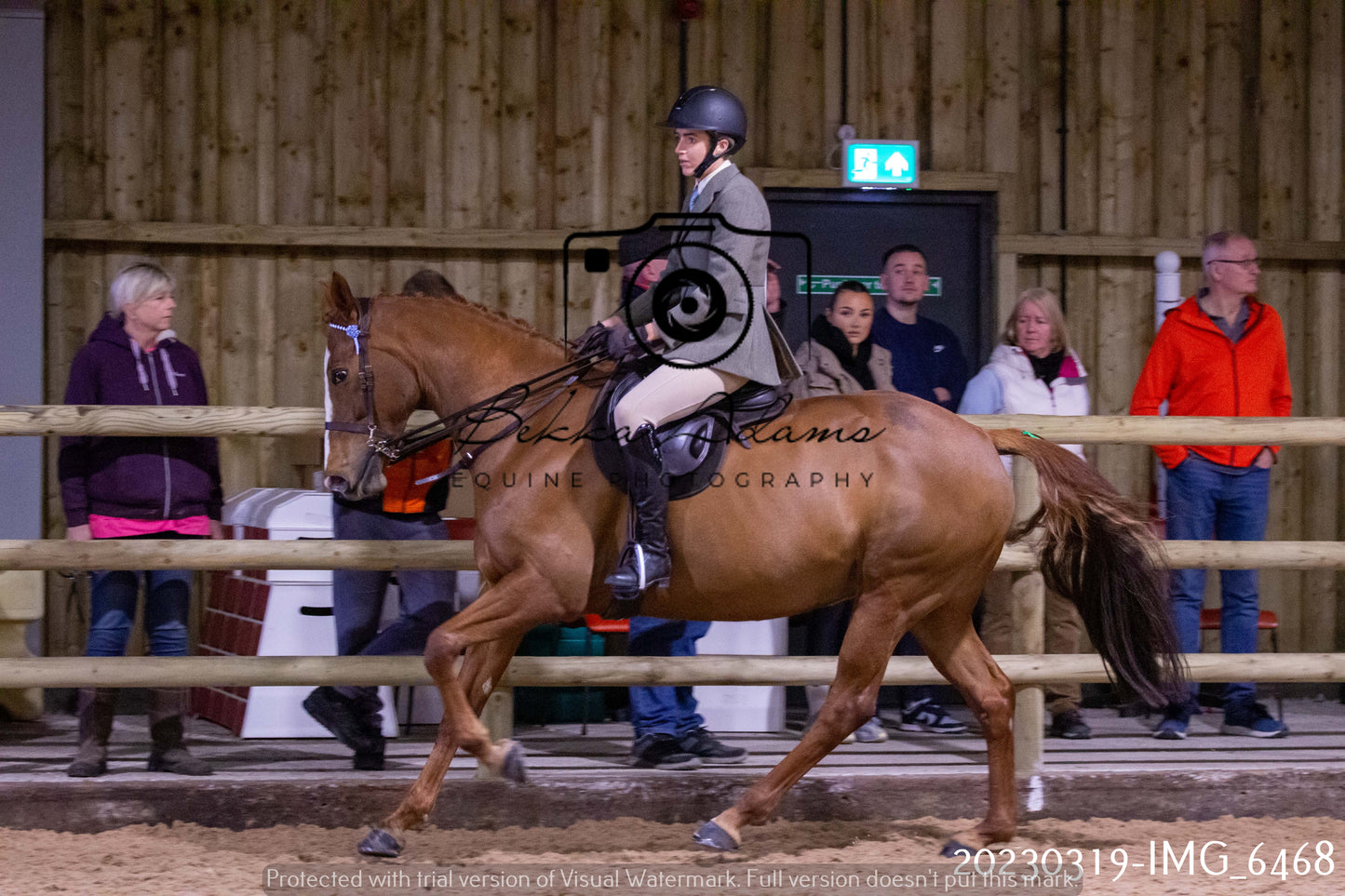Home Farm Showing 19th March (Ridden) Pt 2