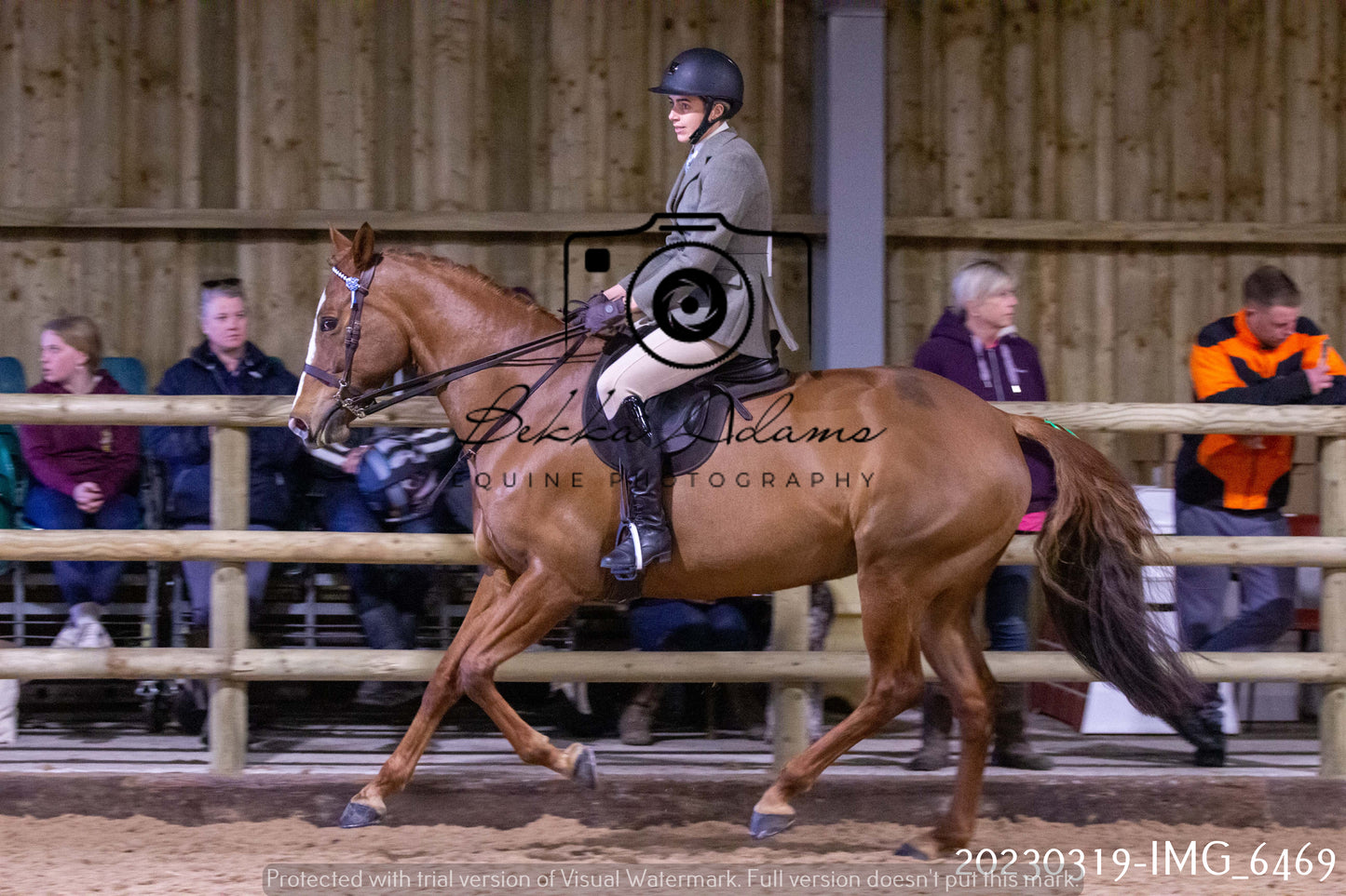 Home Farm Showing 19th March (Ridden) Pt 2