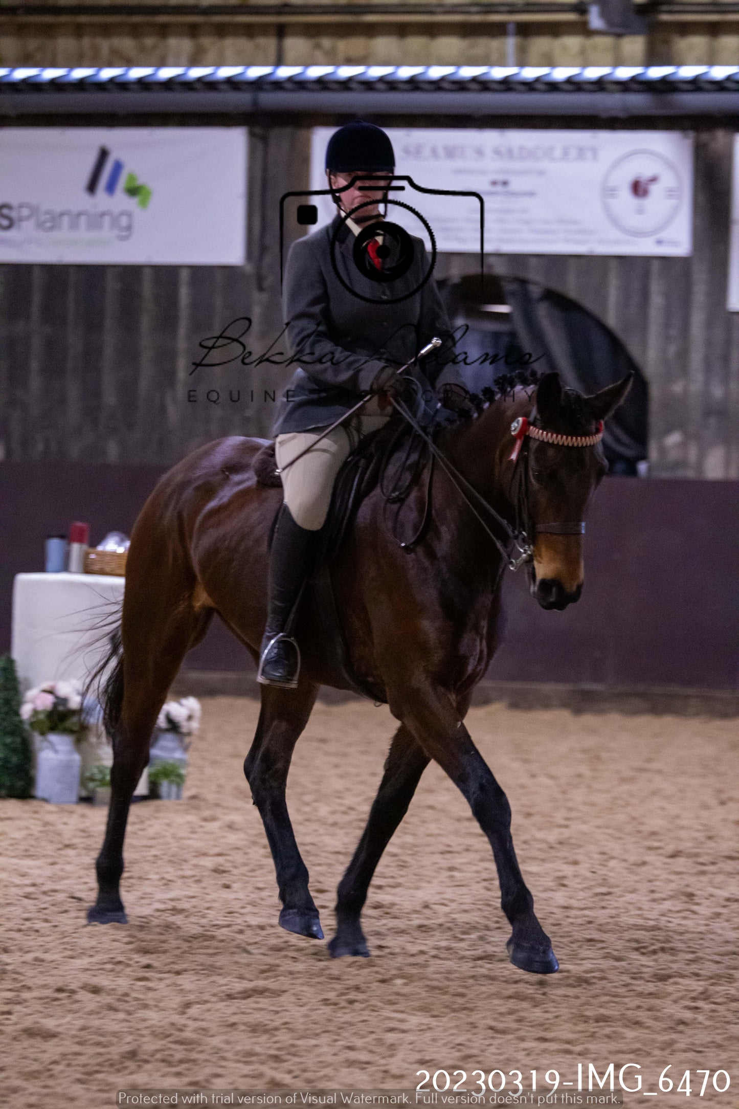 Home Farm Showing 19th March (Ridden) Pt 2
