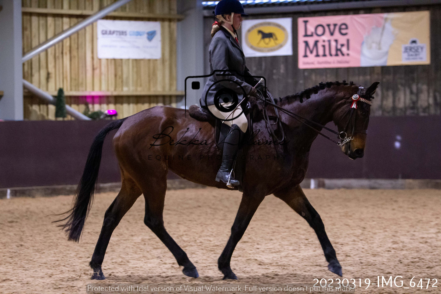 Home Farm Showing 19th March (Ridden) Pt 2