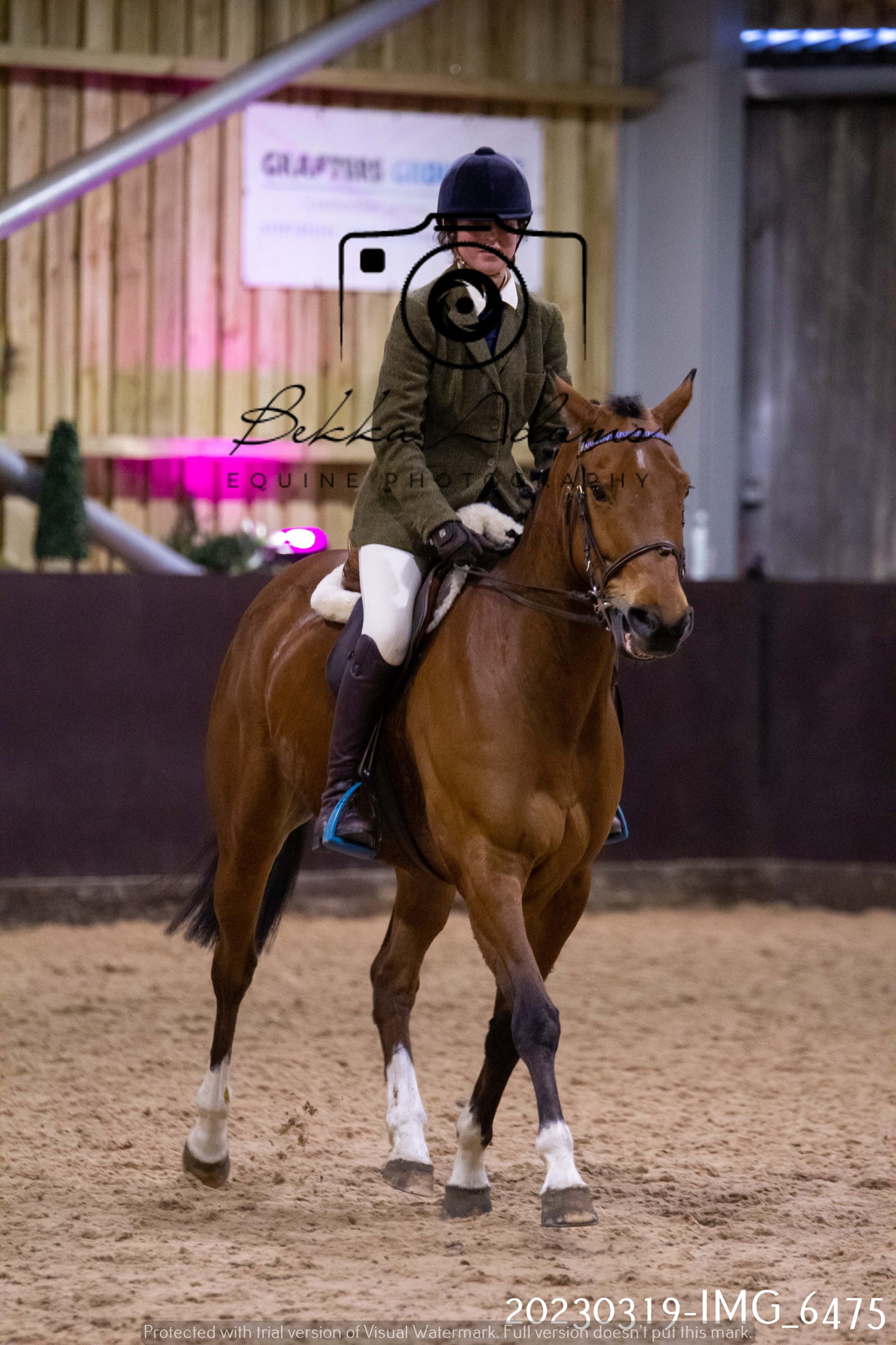Home Farm Showing 19th March (Ridden) Pt 2
