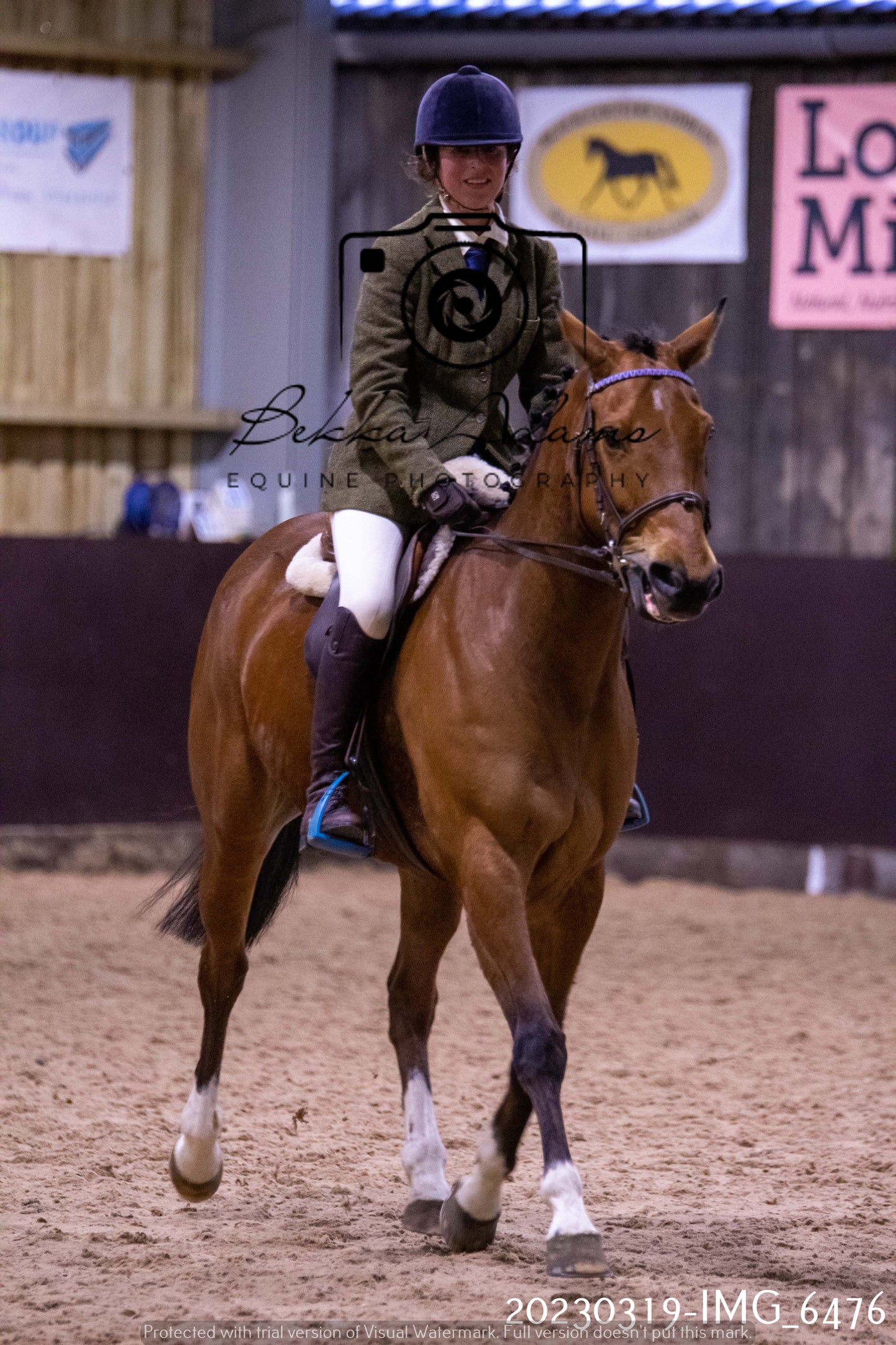 Home Farm Showing 19th March (Ridden) Pt 2