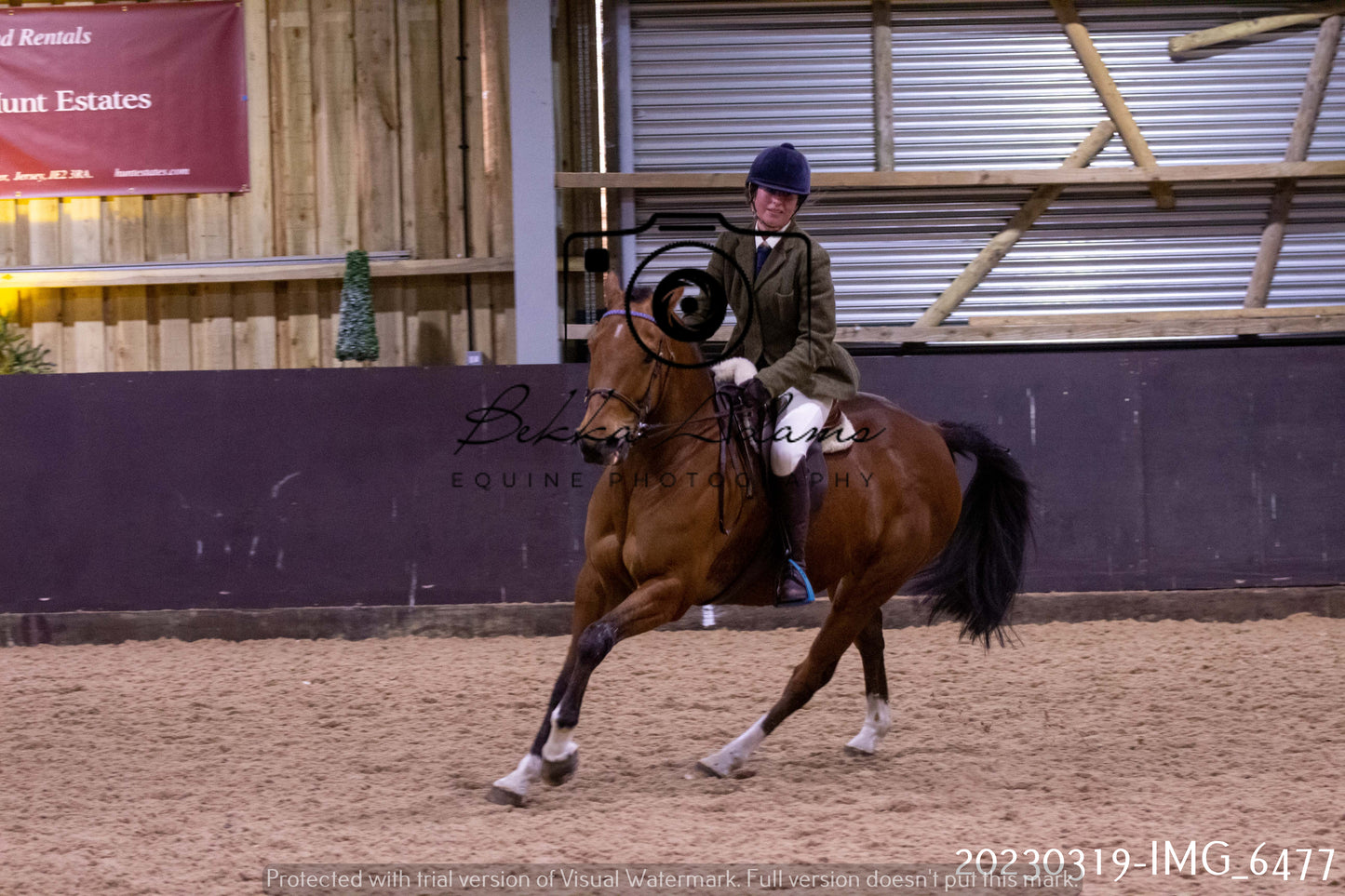 Home Farm Showing 19th March (Ridden) Pt 2