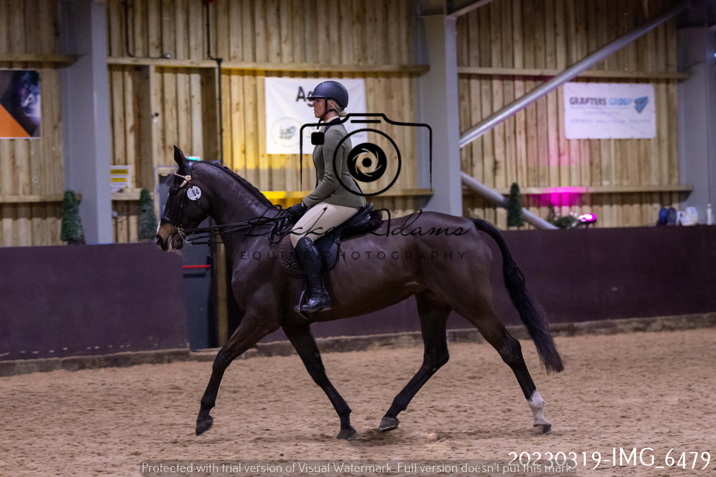 Home Farm Showing 19th March (Ridden) Pt 2