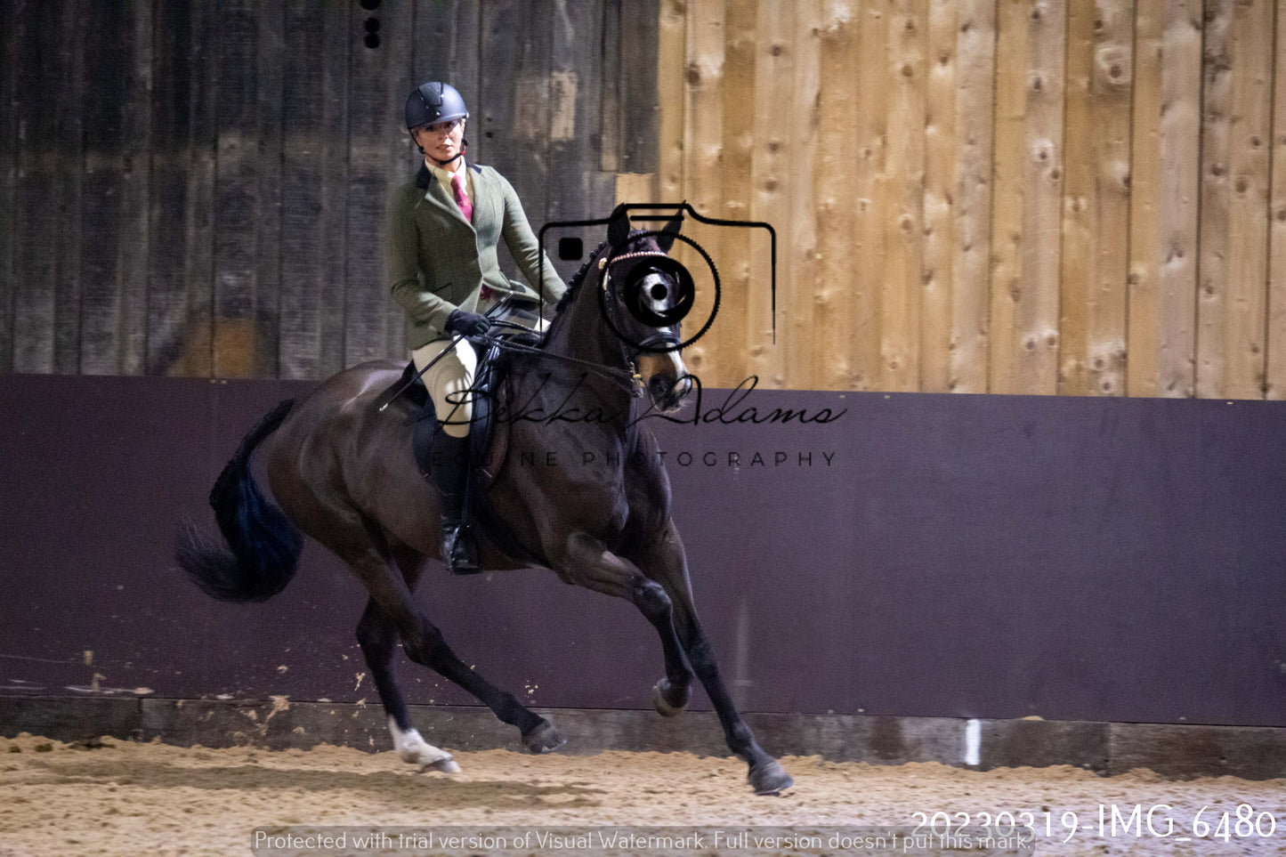 Home Farm Showing 19th March (Ridden) Pt 2