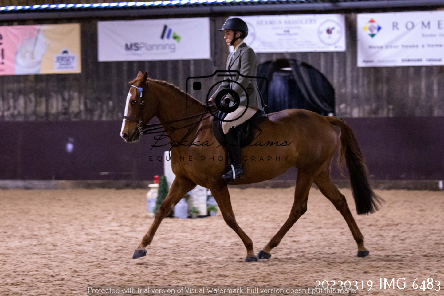 Home Farm Showing 19th March (Ridden) Pt 2